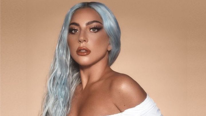 lady gaga costes tratamiento cuidador de perros ryan fischer 97.000 dolares recuperacion asalto secuestro perros disparos