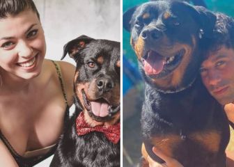 La pista del perro de Diego y Lola que podría ser definitiva sobre su futuro juntos