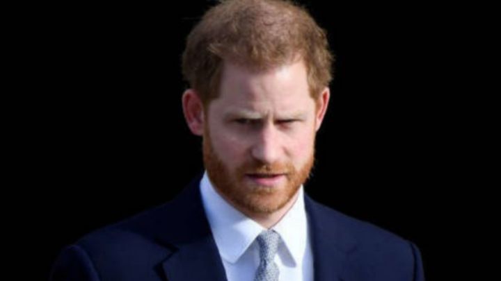 El príncipe Harry y su vida en Inglaterra, una mezcla entre 'el show de Truman' y un zoológico