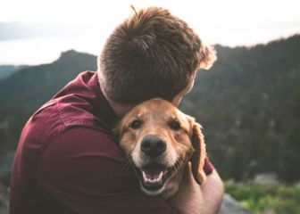 ¿Por qué se dice que el perro es el mejor amigo del hombre?