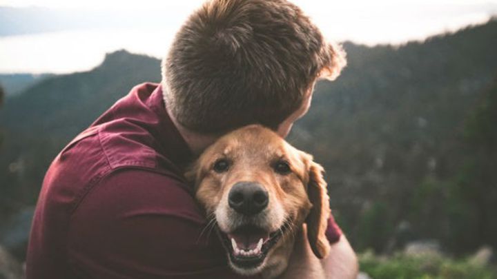 ¿Por qué se dice que el perro es el mejor amigo del hombre?