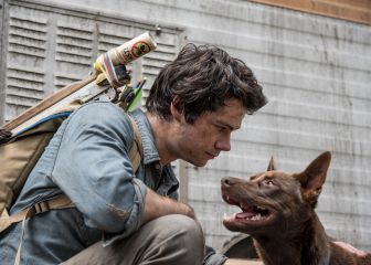 Las cinco películas de Netflix que no te puedes perder en el Día Internacional del Perro