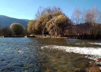 ¿Cuáles son las mejores piscinas naturales de Madrid y dónde se encuentran?