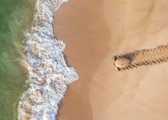Puro espectáculo: las mejores fotografías de 2021 a vista de pájaro