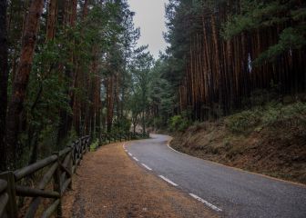 Los mejores bosques de España para visitar en los meses de otoño