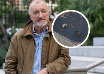 Pérez-Reverte y el rescate de los perros de La Palma: