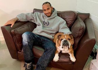 Hamilton podría enfrentarse a la justicia por hacer vegano a su perro