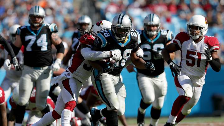 Los Cardinals dejan muy tocada su temporada en Carolina