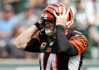 Los Bengals deben decidir si son tigres salvajes o de circo