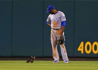 El ‘Rally Cat’ acude al rescate de los St. Louis Cardinals