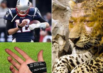 Los mejores memes de la victoria de los Patriots sobre los Jaguars