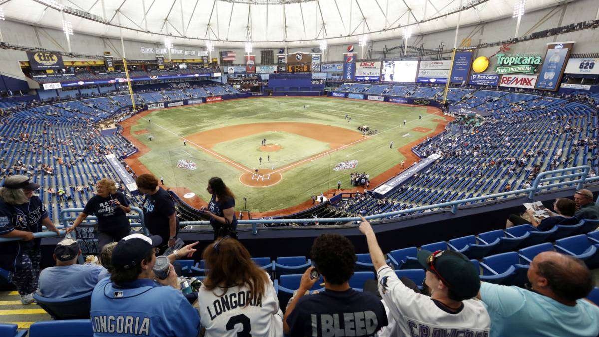 Resultado de imagen para aficionados de los rays de tampa bay