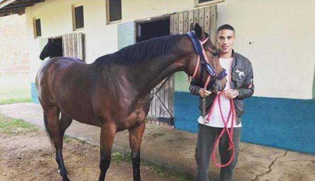Paolo con uno de sus caballos.