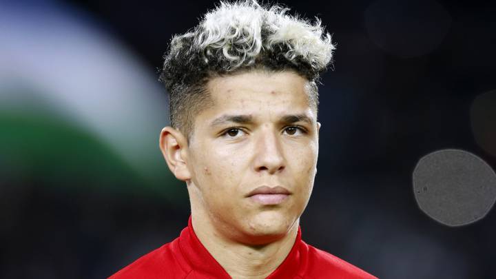 Amine Harit