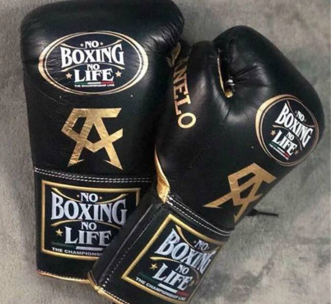 Canelo Álvarez vs Gennady Golovkin