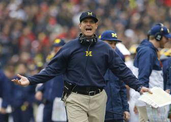 Los Dolphins no buscan contratar a John Harbaugh