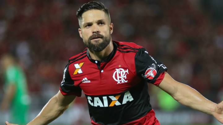 Diego Ribas, Flamengo