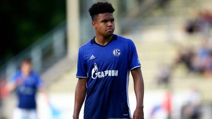 Weston McKennie jugador estadounidense con su equipo el Schalke 04