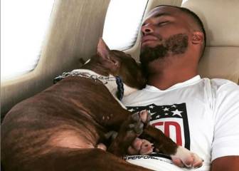 Mascota de Dak Prescott muerde a una persona