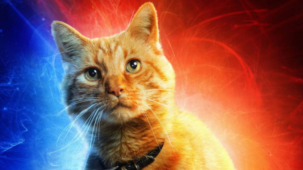 Carol Danvers no es la única protagonista en la película de Captain Marvel, pues Goose, el adorable gato que sigue a la superheroína en sus aventuras, se robó el corazón de la audiencia