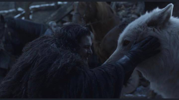 Luego de que Jon Snow se fue a lado de su reina Daenerys a pelear a King's Landing y dejó abandonado a su fiel amigo Ghost, por fin se reencontraron.
