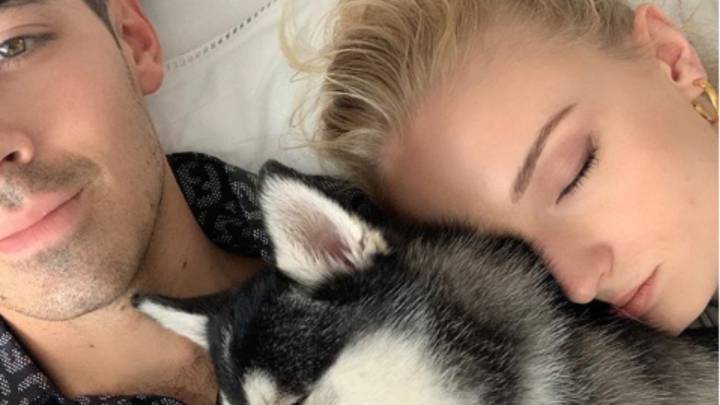 Waldo, uno de los dos perros de Joe y Sophie, murió atropellado en Nueva York y ahora le rinden homenaje al tatuarse ambos su cara.