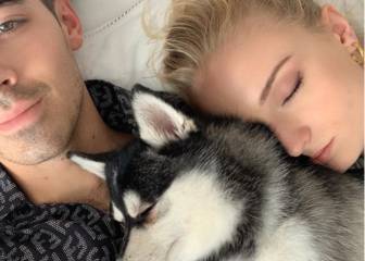 Joe y Sophie se tatúan en honor a su perro que murió