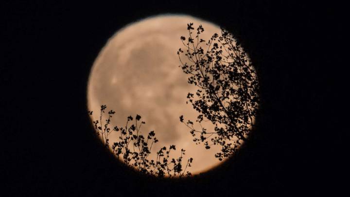 Dónde y a qué hora ver la luna llena este Viernes 13