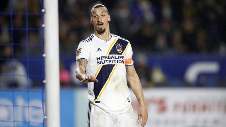 Dennis te Kloese asegura que Zlatan no se va de LA Galaxy