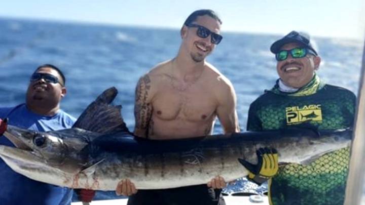 El delantero sueco, quien todavía pertenece a Los Angeles Galaxy de la MLS, se fue unos días de vacaciones y demuestra que la está pasando bien.