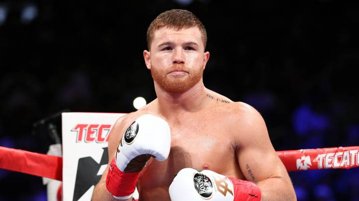 Canelo Álvarez ya tiene a su favorito para la Wilder vs Fury