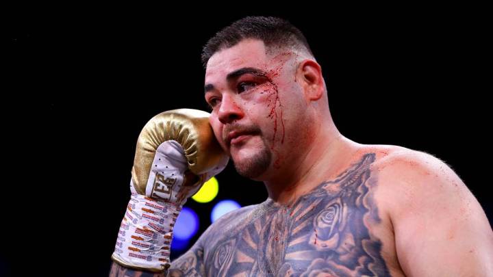 El boxeador mexicano adelantó algunos de sus planes en el cuadrilátero y se preparará para regresar más fuerte y recuperar sus campeonatos.