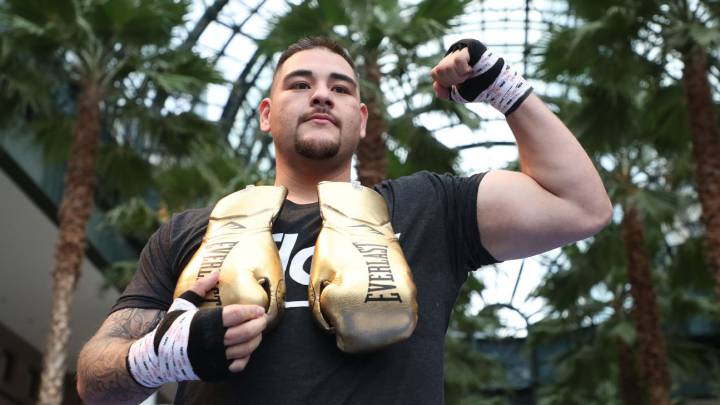 Robles: "Canelo Álvarez sería un buen ejemplo para Andy Ruiz"