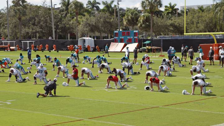 Miami Dolphins