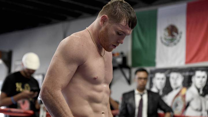 DAZN negocia con 'Canelo' Álvarez: le ofrece 20 millones por su siguiente pelea