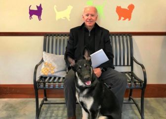 Major, el primer perro adoptado en la Casa Blanca
