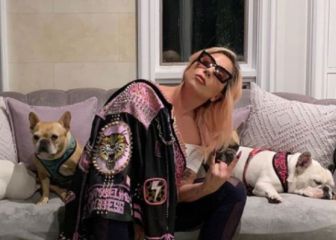 Secuestran a perros de Lady Gaga, ofrecen recompensa