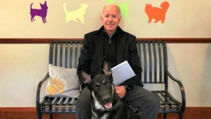 ¿Cómo fue el incidente con los perros del Presidente Joe Biden?