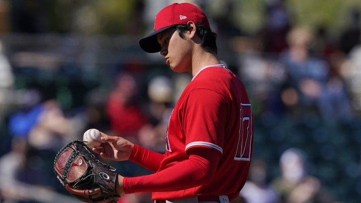 Shohei Ohtani