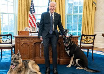 Perro de los Biden recibe ayuda profesional tras incidentes