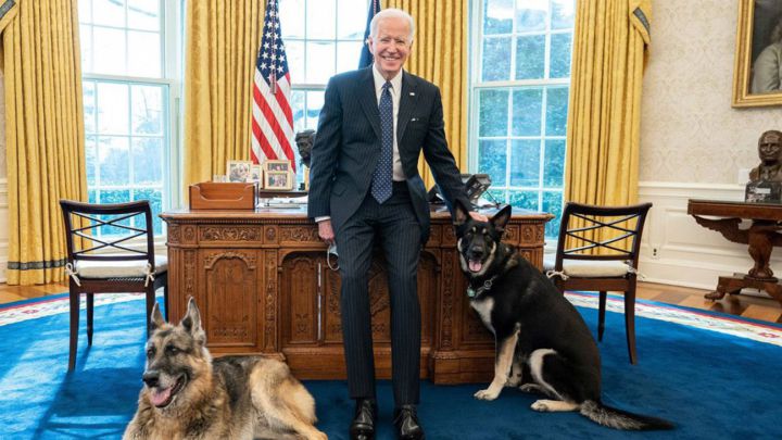 El presidente de Estados Unidos, Joe Biden, acompañado de sus perros, Major y Champ, en el Despacho Oval