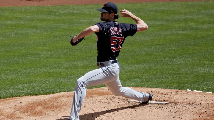 SHANE BIEBER