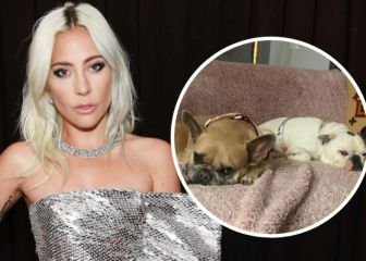 Arrestan a los sospechosos de robar a los perros de Lady Gaga