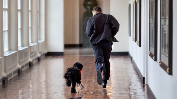 La mascota de la familia Obama murió este 8 de mayo a los 12 años a causa de un cáncer