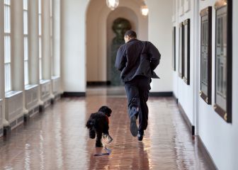 Barack y Michelle Obama se despiden de su perro 'Bo'