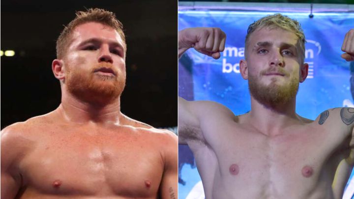 Jake Paul: "Podría pelear con Canelo Álvarez por el cinturón del CMB"