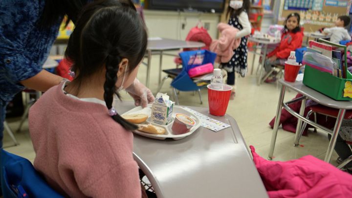 Ayuda alimentaria en Nueva York: ¿cuánto se recibirá por niño y cuáles son los requisitos?