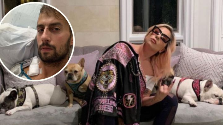 La petición de Ryan Fischer, el paseador de perros de Lady Gaga