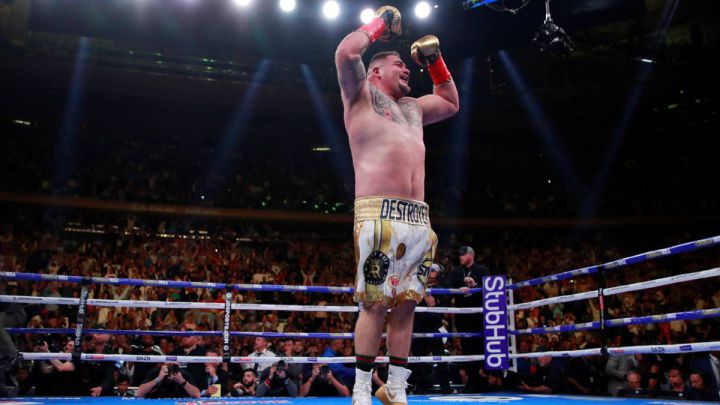 Andy anunciará pronto su siguiente combate.