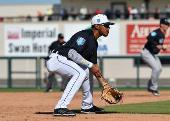 Harold Castro, nuevo venezolano en Grandes Ligas